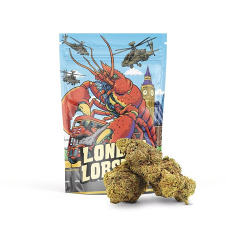 LONDON LOBSTER 50% FLEUR MAGIC SAUCE