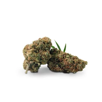 Porn Star OG THCJD 10%
