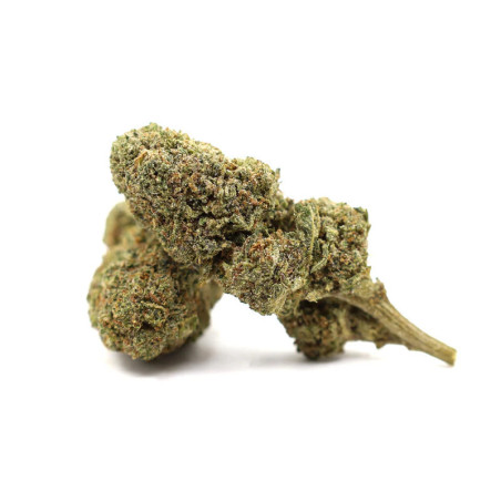 PERMANENT MARKER 50% FLEUR... - alt