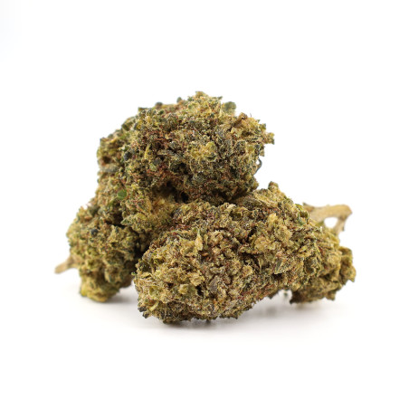 GORILLA COOKIES 30% FLEUR... - alt