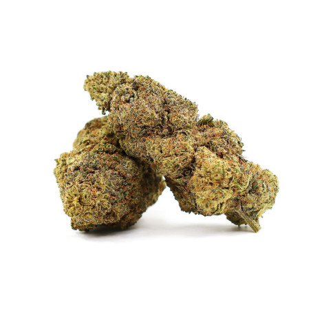 JAPONESE PEACH 41% FLEUR THCA