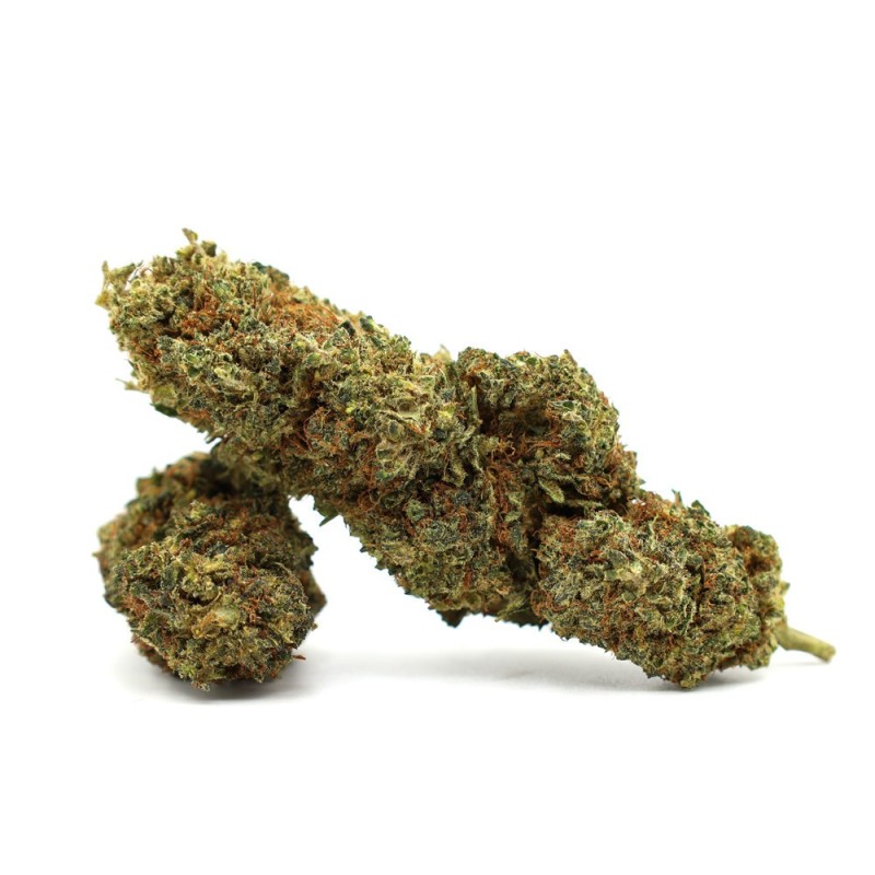 JEALOUSY 35% FLEUR THCA