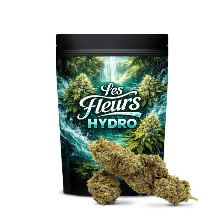 JEALOUSY 35% FLEUR THCA