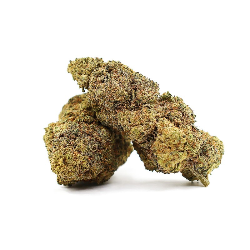 JAPANESE PEACH 41% FLEUR THCA