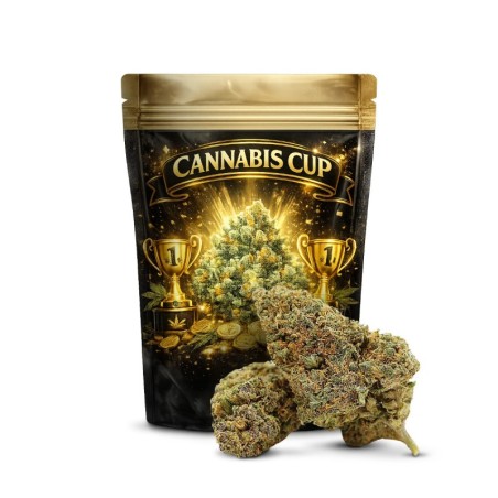 GELATO 41 40% FLEUR THCA