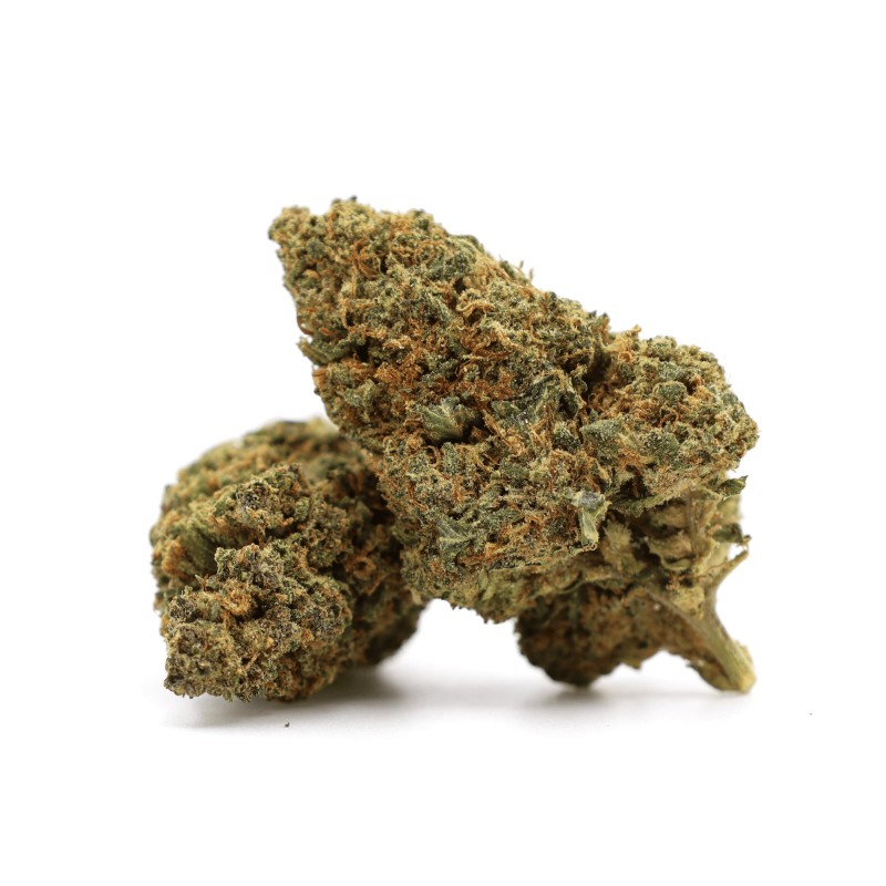 GELATO 41 40% FLEUR THCA