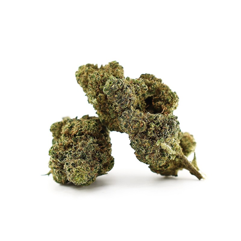 LA CHUPACABRA 50% FLEUR MAGIC SAUCE