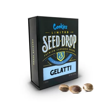 Graines THC Gelatti COOKIES