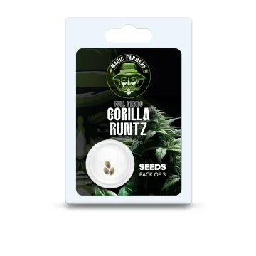 Graines THC Gorilla Runtz