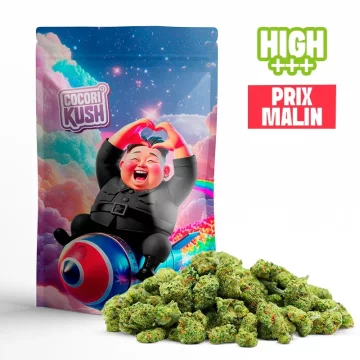 Kim Jung Kush HEC-10