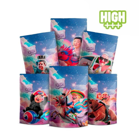 DIPLOMATIQUE VALISE HEC-10 - alt