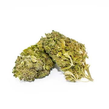 tutti fruity cbd detail fleurs