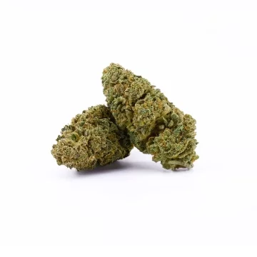 Fleur Bubble Gum CBD