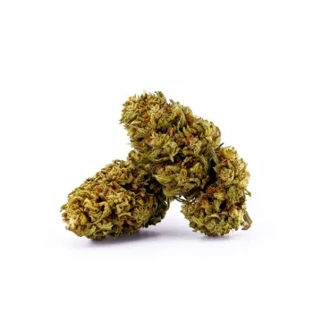 Fleur Orange Bud CBG