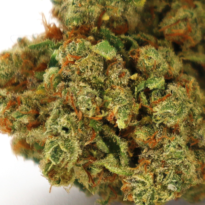 HAWAIIAN RAIN CBD FLEUR COOKIES