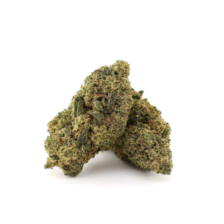 TINKY WINKY 50% FLEUR MAGIC... - alt