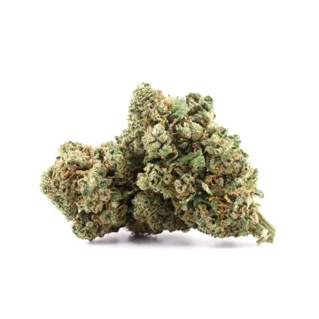 Tangerine CBD