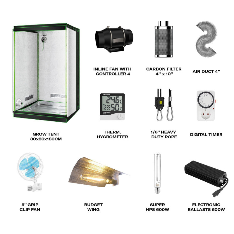 KIT DE CULTURE FLEXSTAR BUDGET WING + SUPER HPS 600W