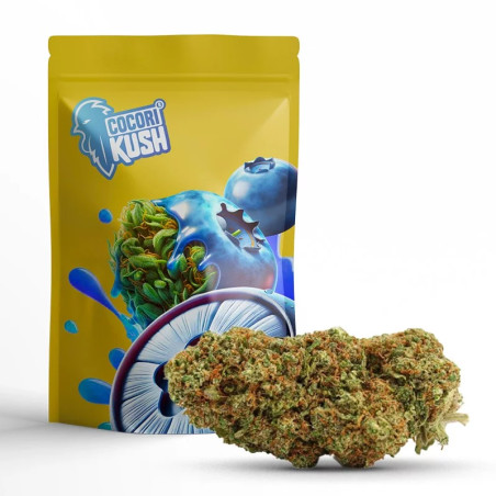 BLUEBERRY MUFFIN FLEUR COCORIKUSH CBD