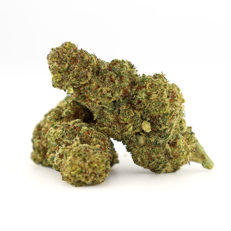 OCEAN BEACH FLEUR COOKIES