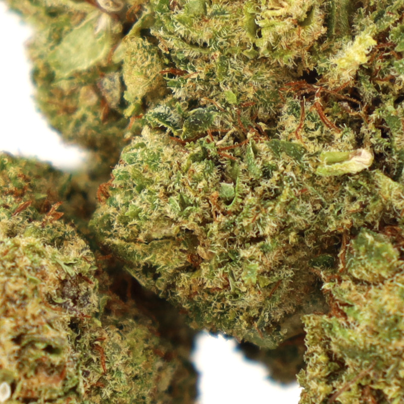 HONEY BUN FLEUR COOKIES