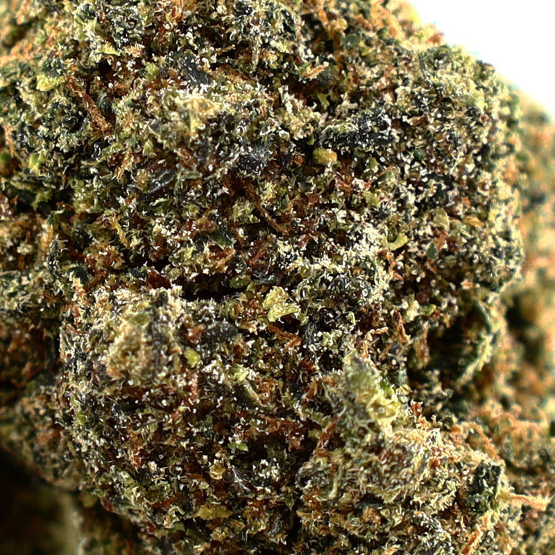 GELATTI FLEUR COOKIES