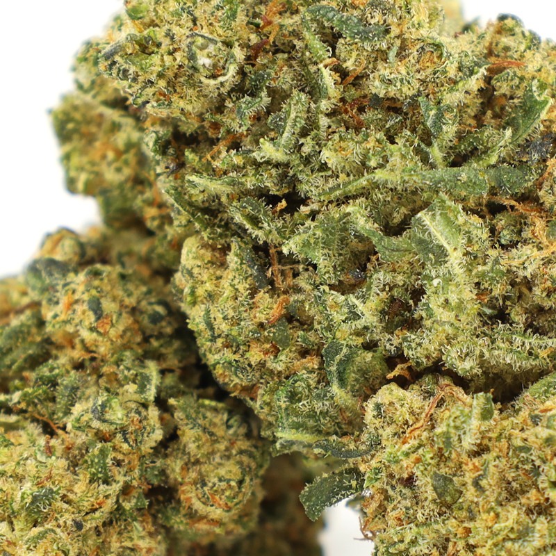 FISH SCALE FLEUR COOKIES