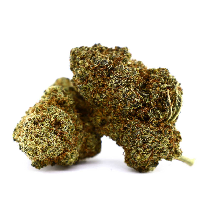 CHEETAH PISS FLEUR COOKIES