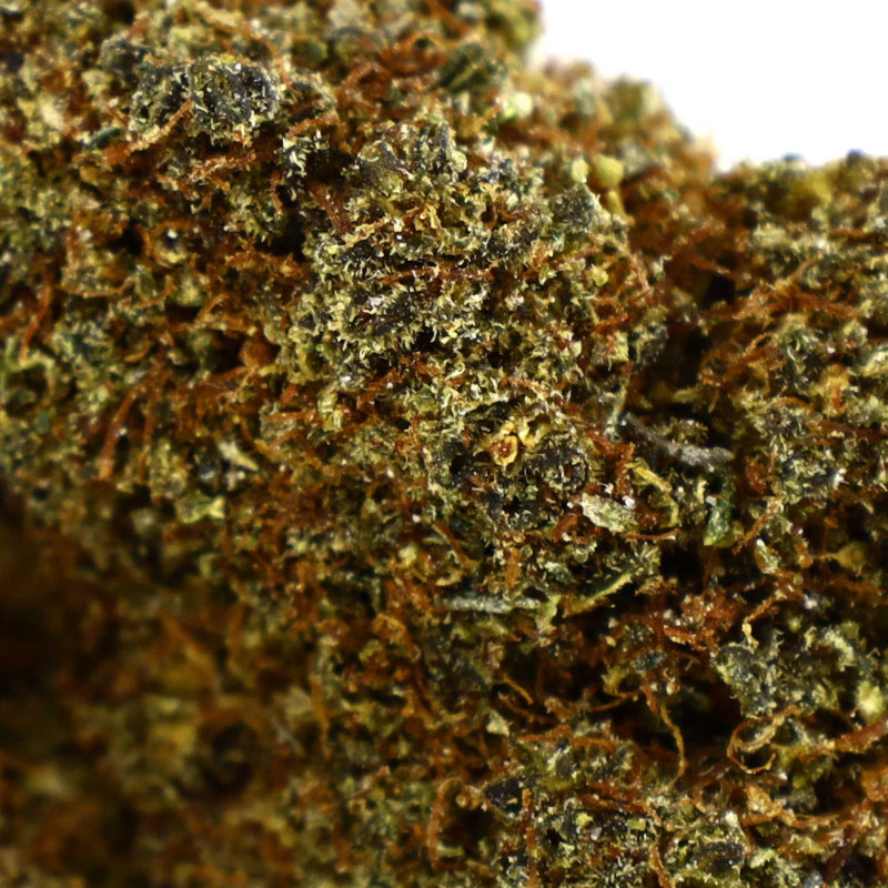 CHEETAH PISS FLEUR COOKIES