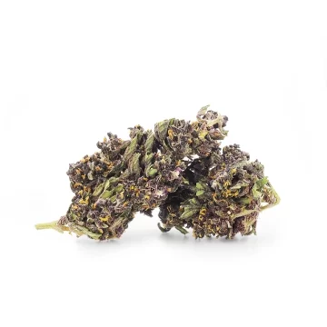 Purple Haze CBD