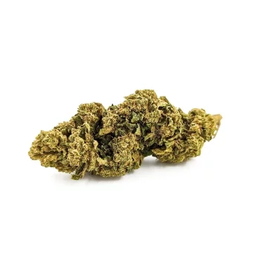 Tropical Punch CBD