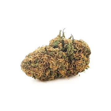 Chemdawg CBD