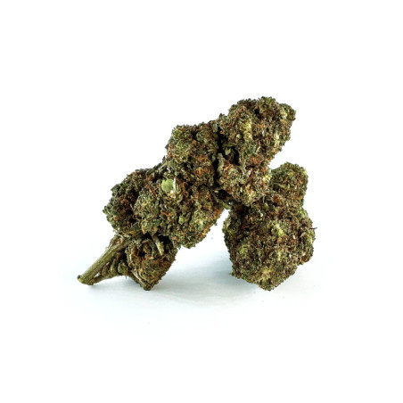 MELONADE 31% FLEUR THCA