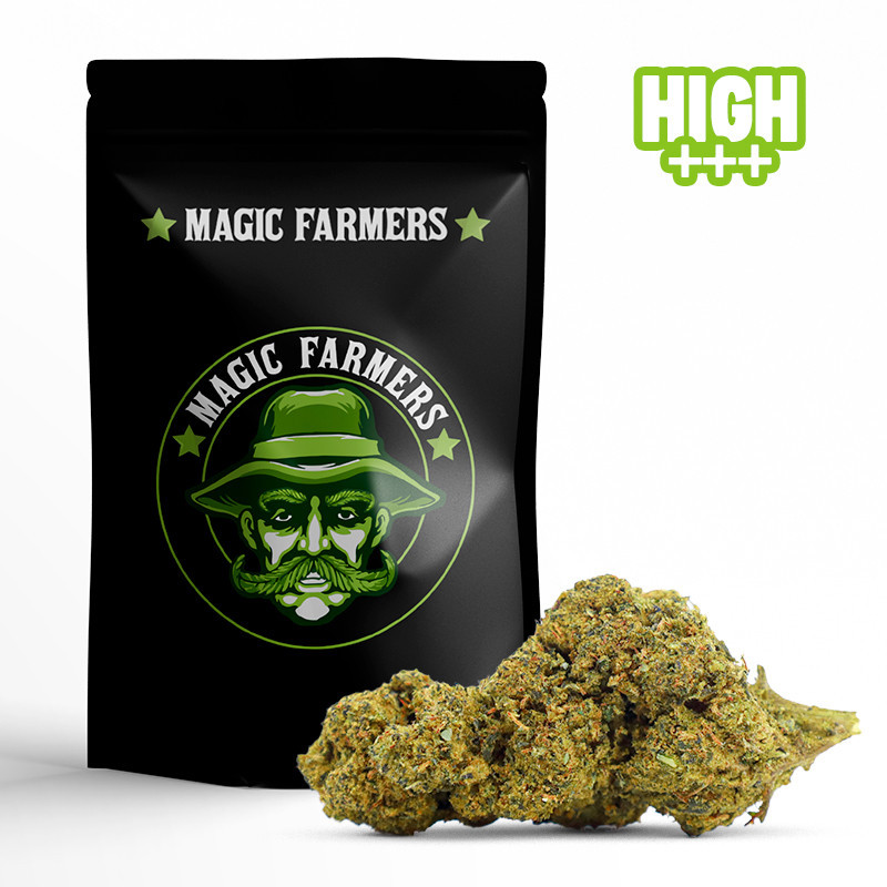 EARLY GIRL 30% FLEUR 10-OH-HHC