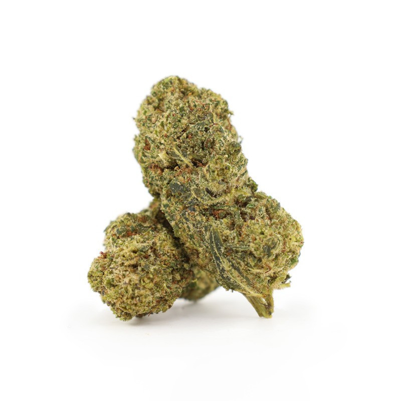 FLYING DUTCHMAN 25% FLEUR THCA