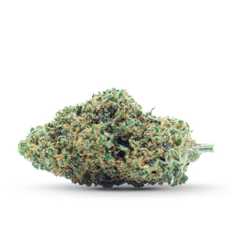 GELATO FLEUR COCORIKUSH CBD - alt