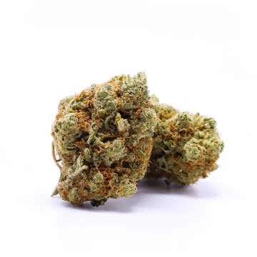 Amnesia Haze CBD