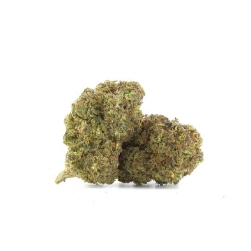 Black Domina THCV (20%)