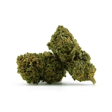 Pistacchio THCP 6%