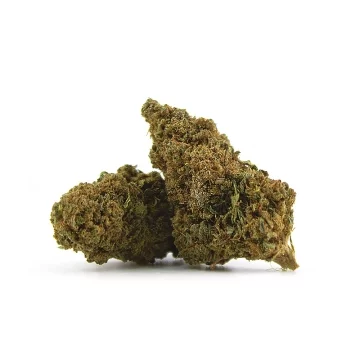 G13 Haze (THCV 12%)