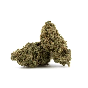 Skywalker OG THCP (6%)