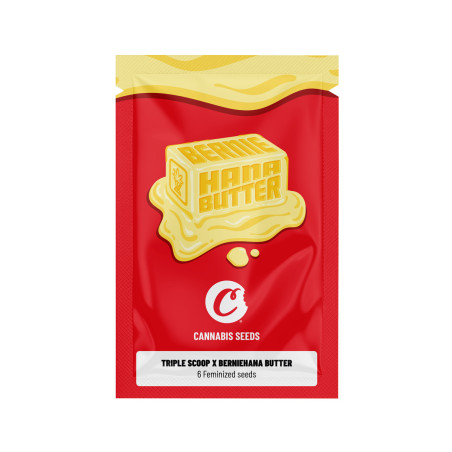 GRAINES FÉMINISÉES TRIPLE SCOOP X BERNIAHANA BUTTER COOKIES® (X6)