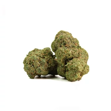 Mango Kush CBD Californienne