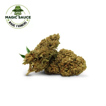 Crazy Dog MAGIC SAUCE (10%)