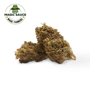 L.A Confidential MAGIC...