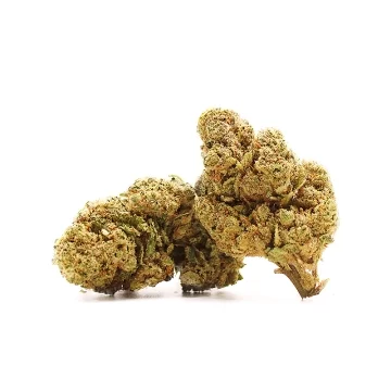 Watermelon Skittlez CBD