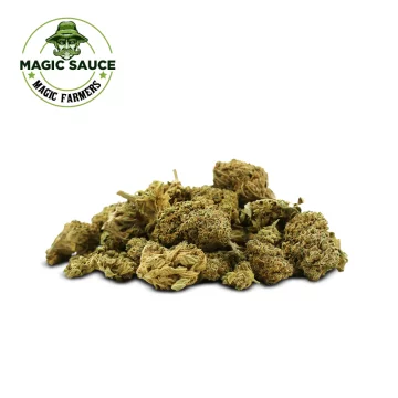Small Buds MAGIC SAUCE