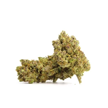 GMO Cookies CBD