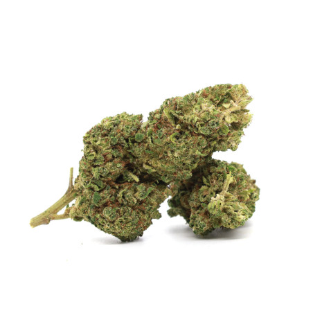 B52 30% FLEUR 10-OH-HHC