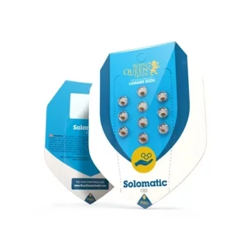 Graines CBD Solomatic